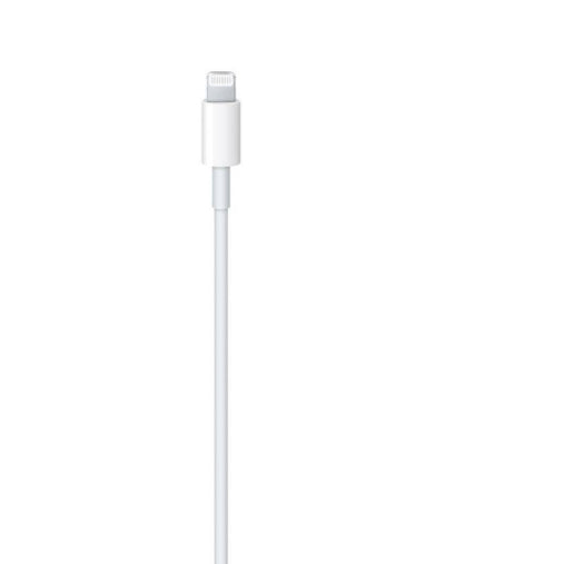 Apple USB-C to Lightning Cable (1m)